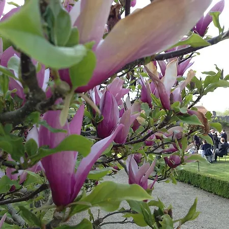 Penzion Chateau De Loup