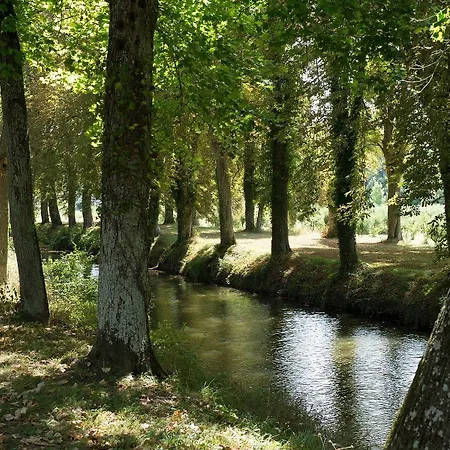 Chateau De Loup