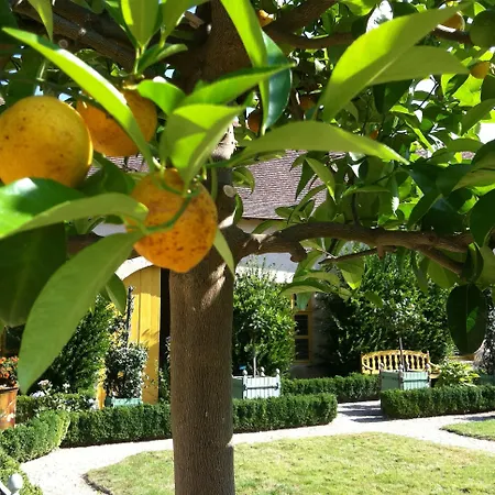 Chateau De Loup Pensionat 3*