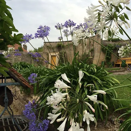 Chateau De Loup Penzion
