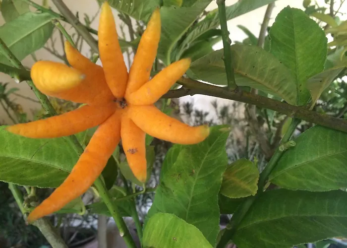 Chateau De Loup Pensión Saint-Loup-Lamaire