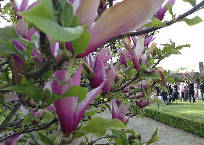 Pensión Chateau De Loup