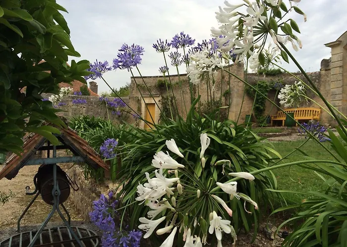 Chateau De Loup Pensión